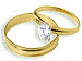 [Wedding rings]